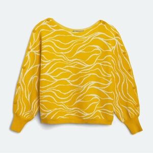 Daniel Rainn Korrine Dolman Sleeve Sweater